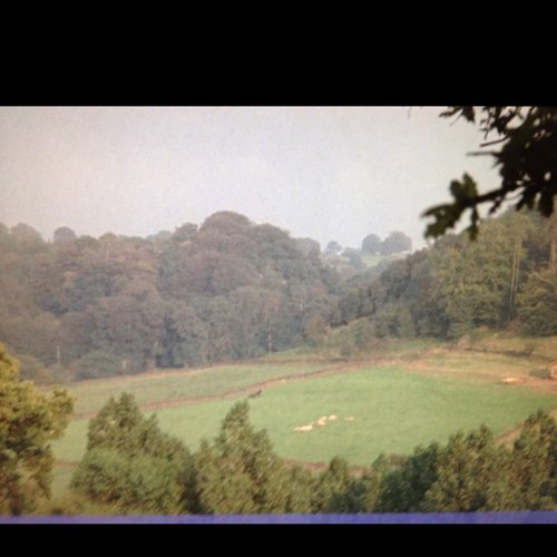 pdp8's profile picture. 