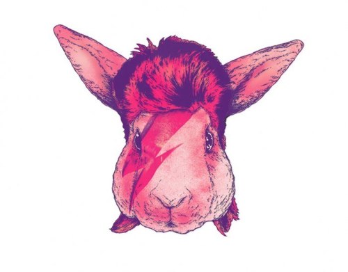 alexlog7's profile picture. 