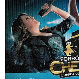 Twitter Oficial - Atualizado pela cantora que hoje esta em uma nova banda @ForrodoChefao