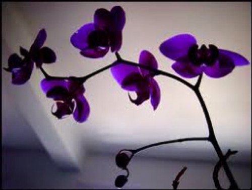 Life does not change but people do, so learn to accept that not everybody is who you thought you know