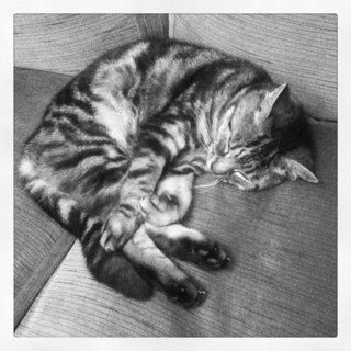 _vickyroberts's profile picture. 