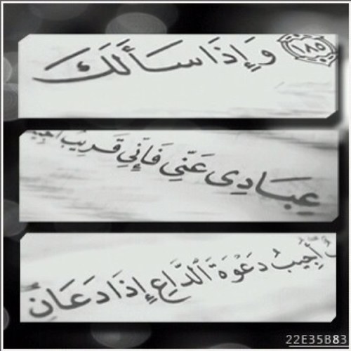 x3noodix's profile picture. Follow Me On My New Account ; @x3noodix_97 ♥!*