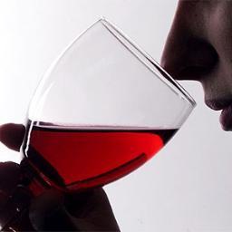 CWU's World Wine Program offers a variety of opportunities to increase your knowledge of wine whether you are a consumer, an industry professional, or a student