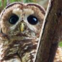 Naomi Powell - @nrbp - Twitter