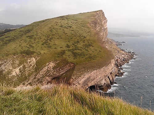 Live Dorset Love Dorset
