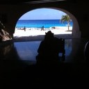 Tammy Cassady - @Tlc4leafclover - Twitter