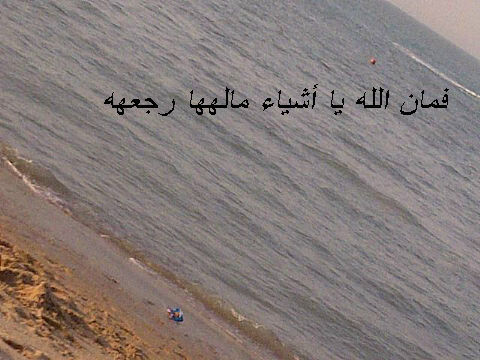 أحلى توأم، أحلى تويتر