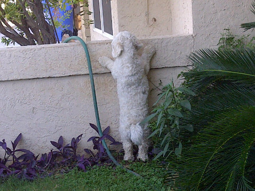 OnePaperBitch1's profile picture. Which way did he go?