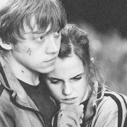 SarahAbkarino's profile picture. 