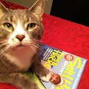 John Izzo - @wt_sportfishing - Twitter