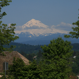 conserened707's profile picture. 