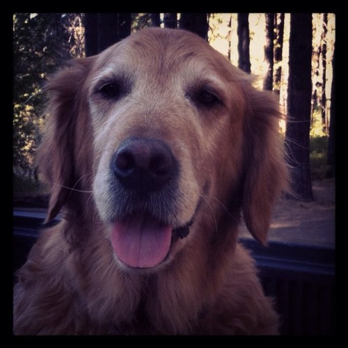 Sentimental fly fishing mimi who loves to cook, watch old movies, family