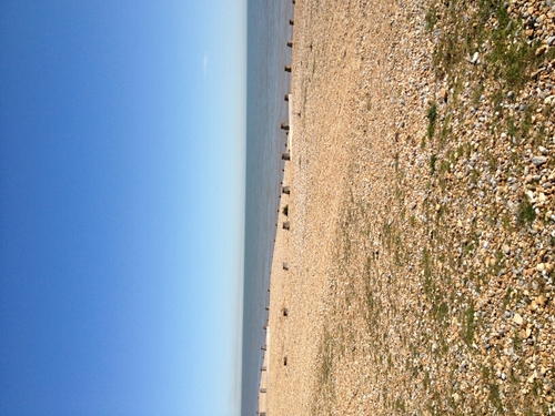 littlerob69's profile picture. 