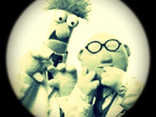 nofiltershere13's profile picture. We have to #SaveSesameStreet from @MittRomney. #VoteObama #MuppetsAgainstMitt #OccupySesameStreet #MillionMuppetMarch