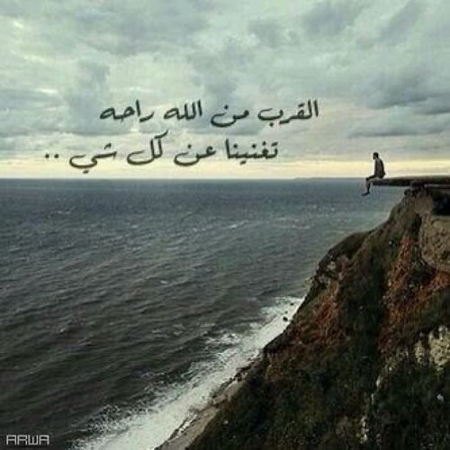 hamed19642's profile picture. 