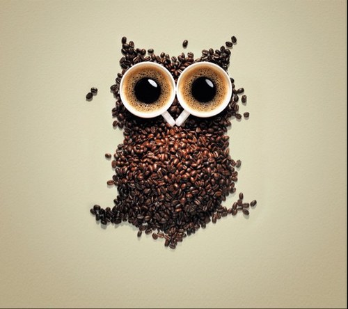 joacarvallo's profile picture. 