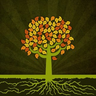 Hungarian Skin Care (@greenbudapest) | Twitter