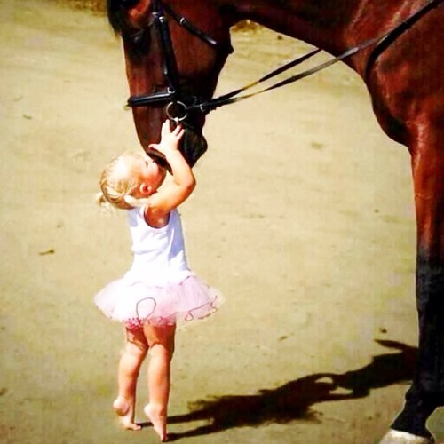 southerntxbaby's profile picture. TEXAS:BORN & RAISED. I like my men country, trucks lifted & boots muddy. Southern Belle Ready To Raise Some Hell.
#countrygirl #follow #texas