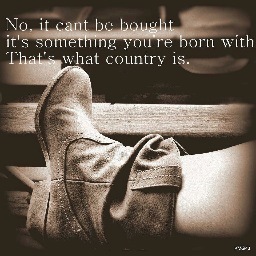 Save a horse... Ride me cowboy!!!! I like em' Big & Rich!!!