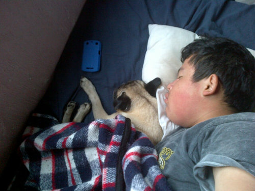 y dile que que que coma tierra