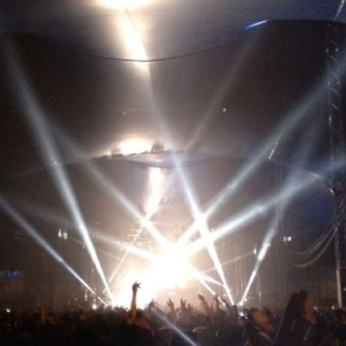 tea_kingham's profile picture. 