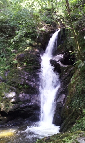 forzdan's profile picture. Hi there!