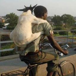 jaberab33's profile picture. الثقافة الالكترونية  عقل مفتوح للجميع