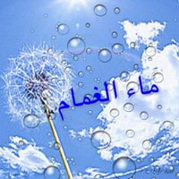 ماء الغمام (@smsh06) 's Twitter Profile