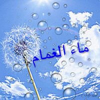 ماء الغمام(@smsh06) 's Twitter Profile Photo