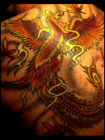 James8659's profile picture. 