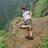 ayushagra's profile image