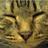jaja_neko's profile image
