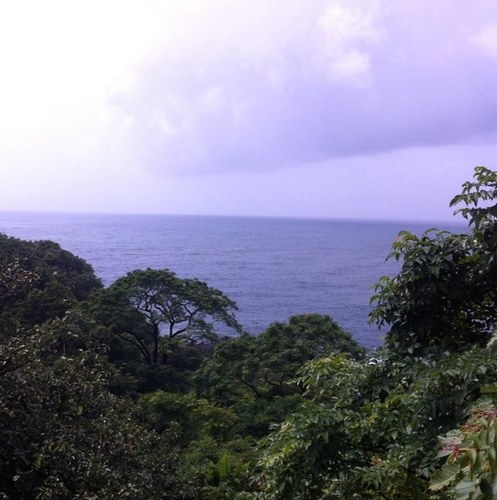 danishgoa's profile picture. 