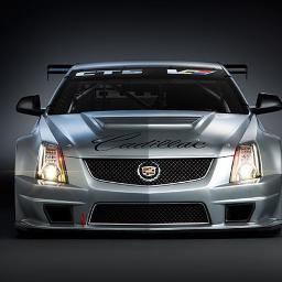 alialihaqali's profile picture. 