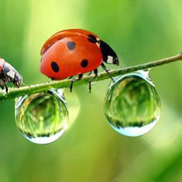 miriambisagni's profile picture. 