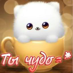 Дружба !!!