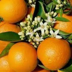 Naranjasiberica's profile picture. Naranjas frescas recien recolectadas en su punto optimo de maduracion, sin procesos industriales y directo a tu mesa.Ideal para ofrecer a los clientes de tu hot
