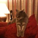 Josie Hurst - @HurstJosie - Twitter