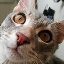 Darin Oliver - @DarinOliver1 - Twitter