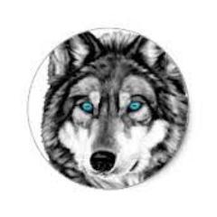 netzhelene's profile picture. 