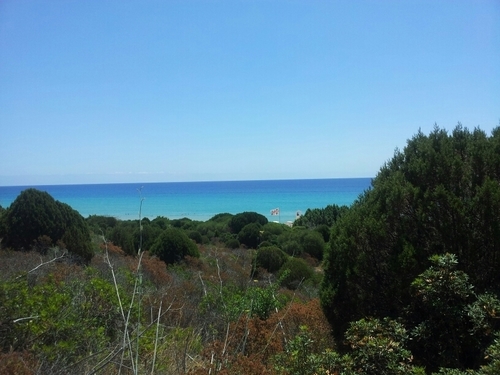 dowgold's profile picture. price is what u pay value is what...