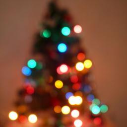 XmasTreeDepot's profile picture. For your Christmas Tree in 2014, as well as accessories and decorations!