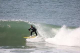 bernhoff31's profile picture. 