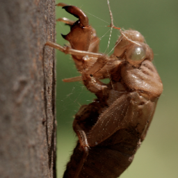 biodynamics's profile picture. 