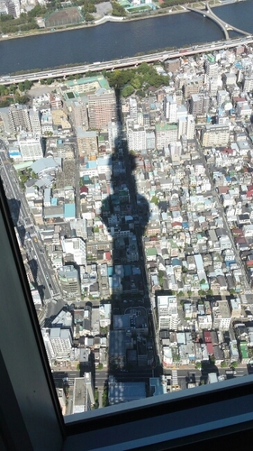 珈琲好き/すっきりした暮らし/プッと小笑いが好き/景色/旅行/ストレッチ