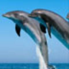 Joyce_Diaz1's profile picture. Joyce Diaz is a free lance yoga consultant and writer who sees yoga as a solution to various worldly problems.