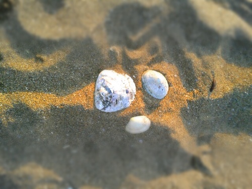 _esperame's profile picture. 