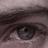 veyselertoy1's profile image