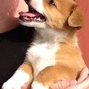 sharon meehan - @MeehanSharon - Twitter