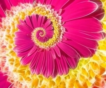 Svvytypy Profile Picture